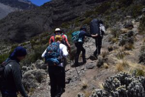 Read more about the article Kilimanjaro Climbing Cost