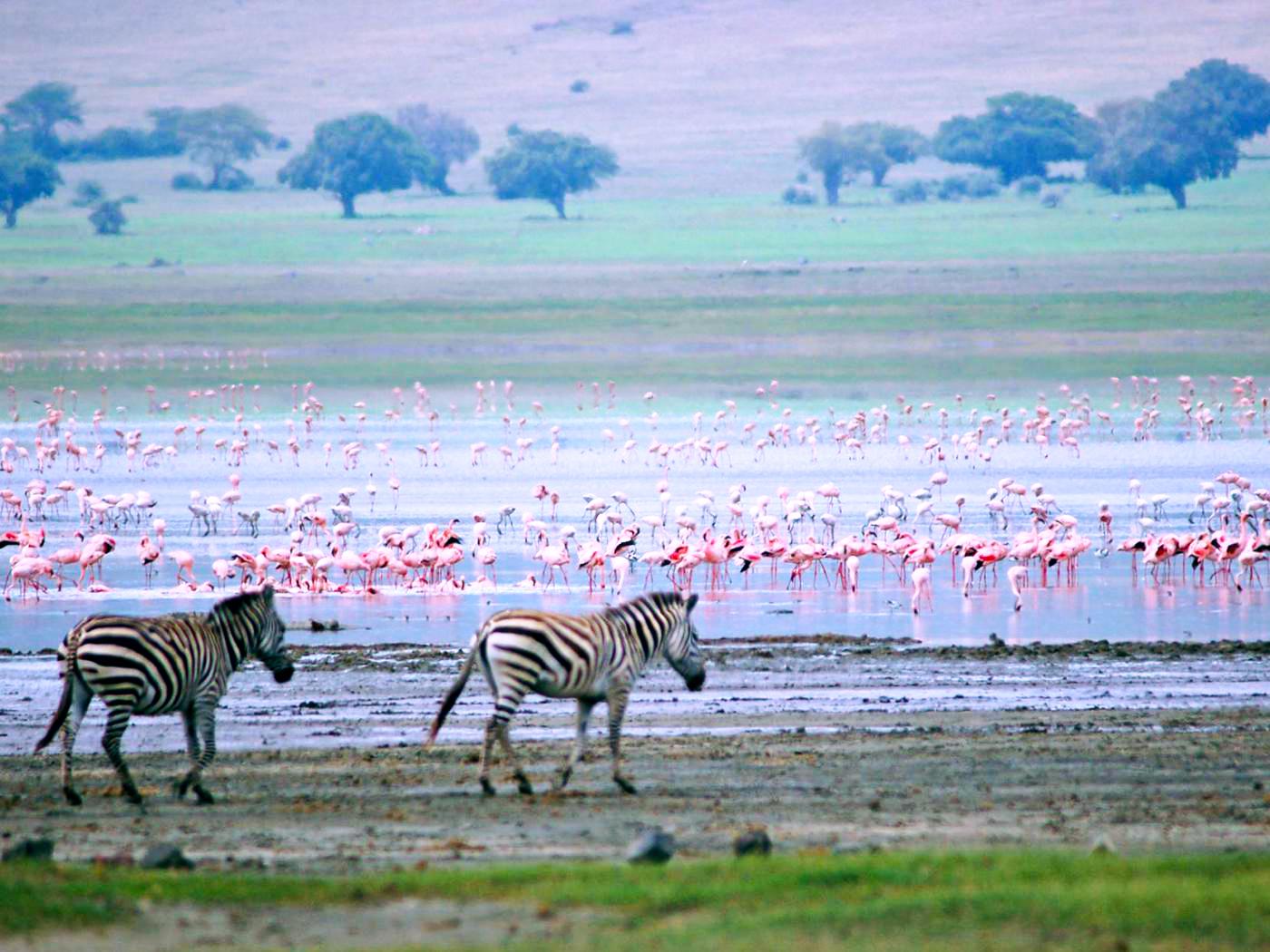 You are currently viewing Lake Manyara National Park